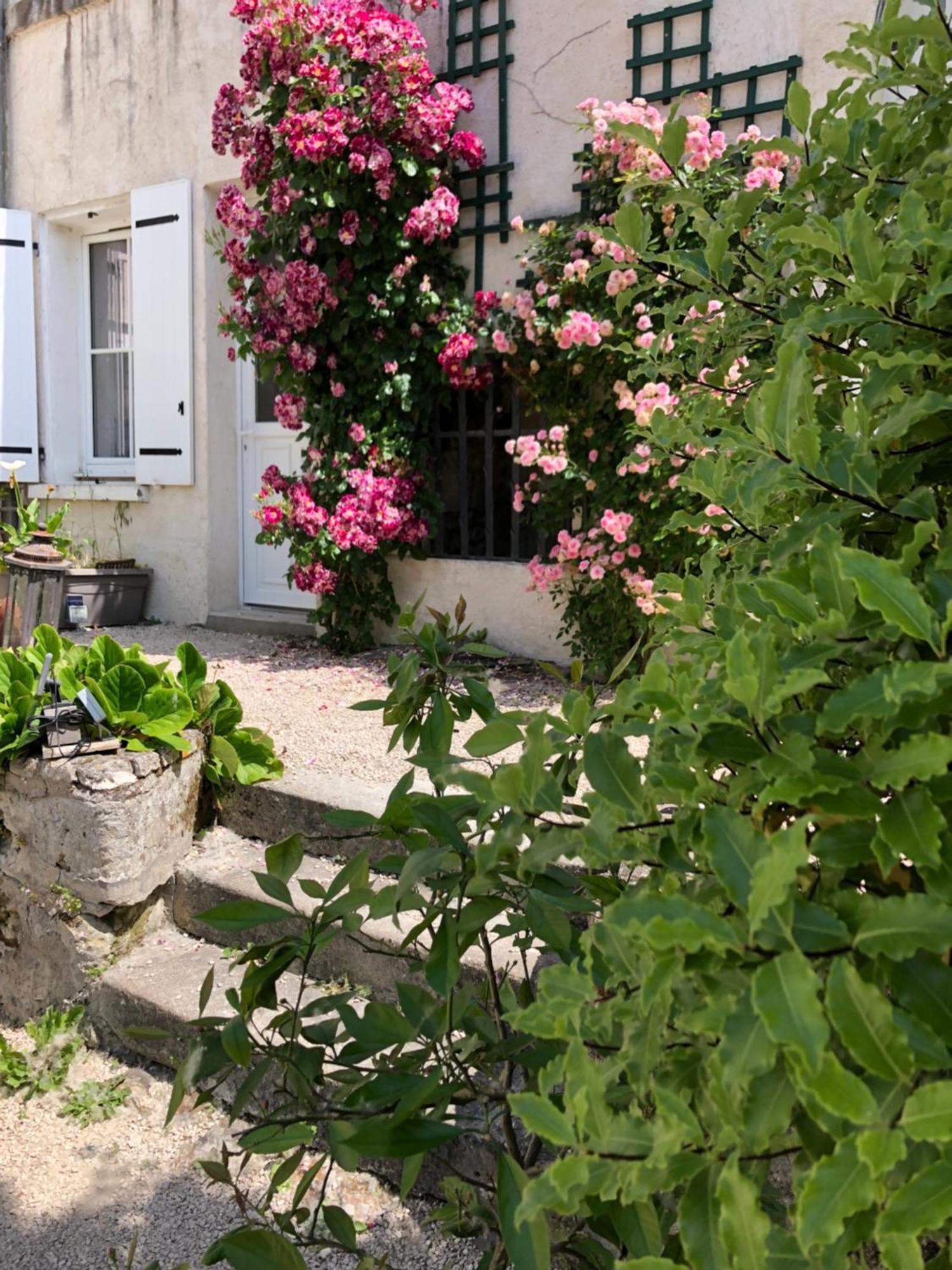 Les Troglos De La Tufoliere Bed & Breakfast Rochecorbon Exterior photo